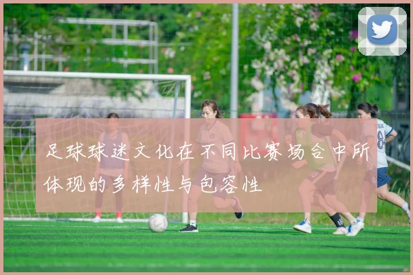 足球球迷文化在不同比赛场合中所体现的多样性与包容性
