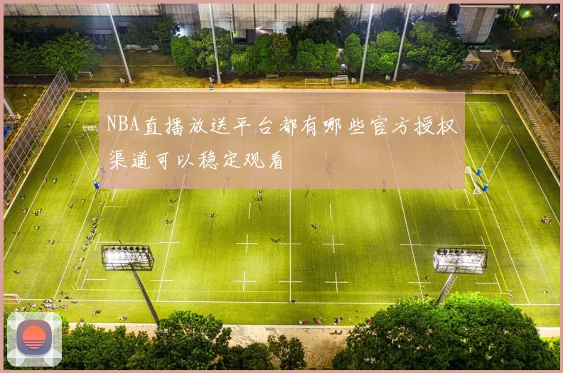 NBA直播放送平台都有哪些官方授权渠道可以稳定观看
