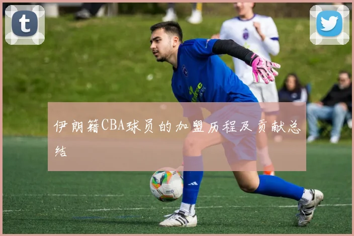 伊朗籍CBA球员的加盟历程及贡献总结