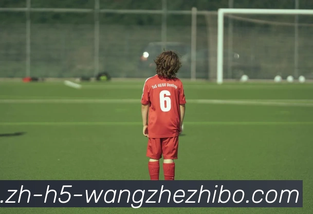 王者体育平台生态图