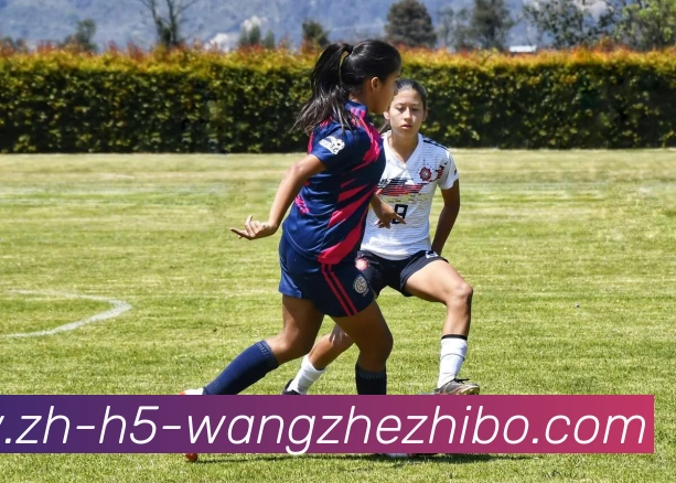 王者体育全站App 王者体育全站App