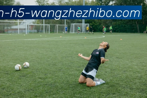 辅助工具 辅助工具